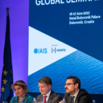 IAIS Town Hall and updates from IAIS Committees